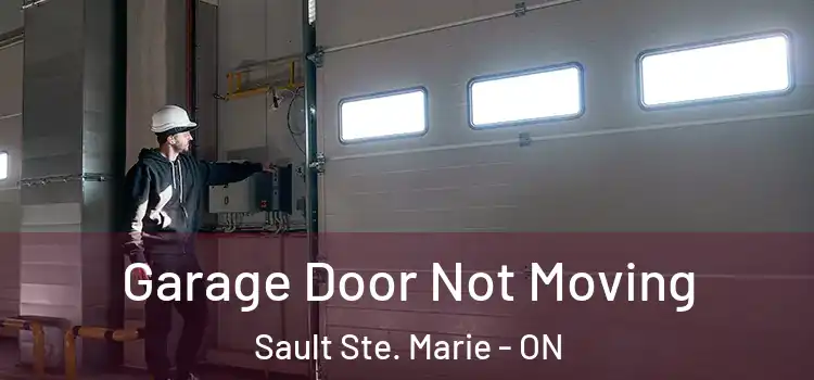  Garage Door Not Moving Sault Ste. Marie - ON