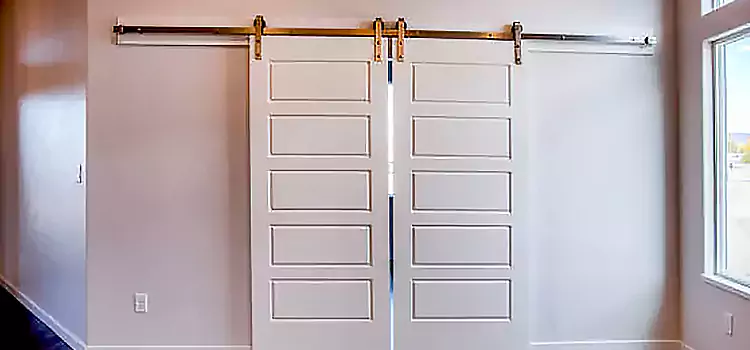 Glass Barn Door with Installation Hardware Kit Sault Ste. Marie